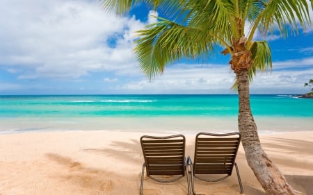 beach chairs under coconut tree - clouds, beach, chairs, sea, tree