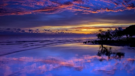 purple sunset reflected on a wet beach - purple, beach, reflection, clouds, sunset, sea