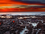 magnificent red sunset over seashore