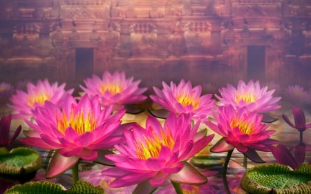 Lotuses - abstract, lotus, yellow, pink, fantasy, flower