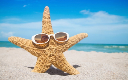 Happy summer - ocean, beach, water, strafish, sunglasses, summer, blue, sand, sea, happy