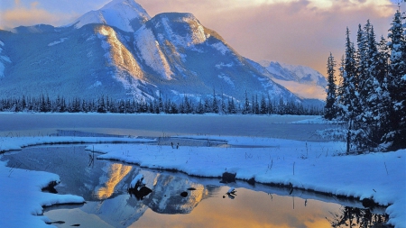 mountain reflection in a calm river in winter - mountain, trees, reflection, river, winter