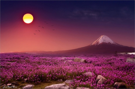 Brighten their moments - outdoor, purple scenery, beautiful, field of flowers, splendor, moon, sunset, nature, mountain