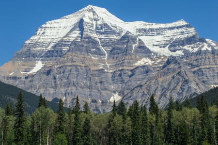 Mount Robson - fun, nature, forest, moluntains, vool