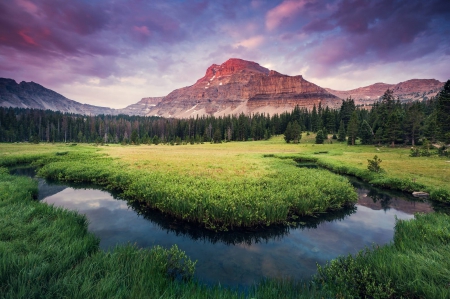 Ostler Peak - forest, cool, river, field, fun, nature, mountain