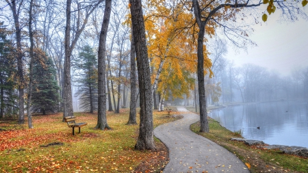 park path around a pond - bences, autumn, trees, park, pond, path