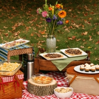 An autumn picnic