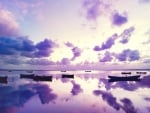 boats reflections in a purple ocean sunset