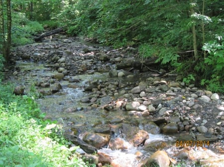 The Creek Runs Naturally - forests, water, creeks, rocks