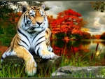 tiger resting,river,.............2