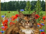 cute cat,lovely flowers...2