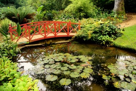 Bridge over pond - trees, greenery, japanese, quiet, reflection, calmness, grass, bridge, garden, pond, lilies, lake, park, summer, lovely, serenity, forest, beautiful