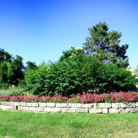 Corner Flower garden--Brampton Ontario Canada