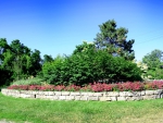 Corner Flower garden--Brampton Ontario Canada