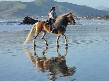 A Day On The Beach