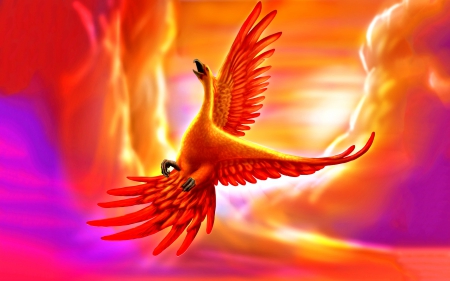 GOLDEN PHOENIX - sky, wings, colorful, mystical, digital arts, phoenix, fantasy, bird, abstract, golden colors, beautiful