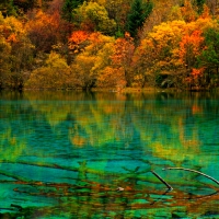 Five Colors Lake In Autumn