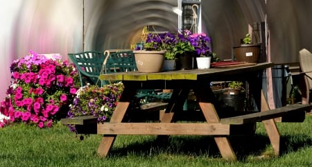 Summer Picnic - summer picnic, beautiful flowers, summertime, picnic, summer bench