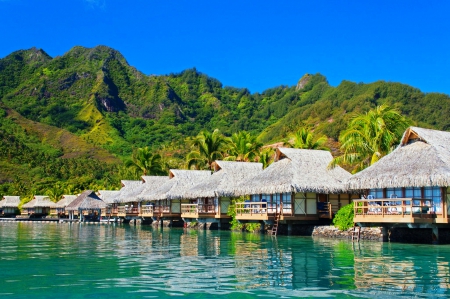 Moorea Island, French Polynesia - bungalows, summer, emerald water, beautiful, island, travel, holidays, resort, tourism, Pacific Ocean, tropical, dive, palm trees, paradise, mountains