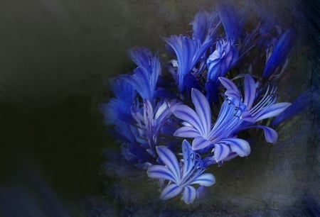 Blue - flowers, macro, blue, flower