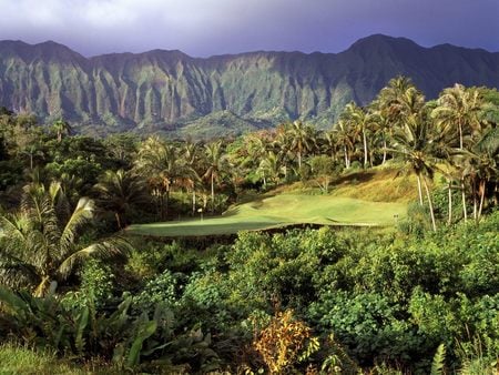 3rd Hole Luana Hills, Oahu, Hawaii  - hawaii, golf