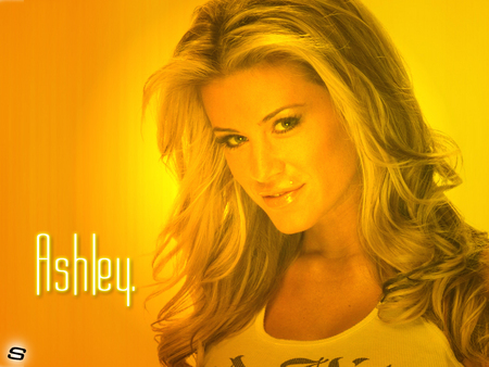 ashley - massaro, ashley, wwe, diva