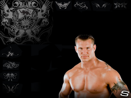 randy orton