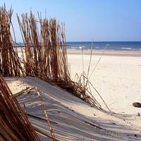 Beach Sand Dune