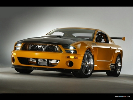 muSTANG GTR - cris, car