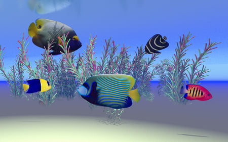 Angles on Parade - fish, reef, blue