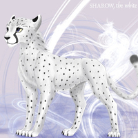 whitw anime cheetah