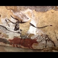 Paleolithic wall art in Lascaux 2