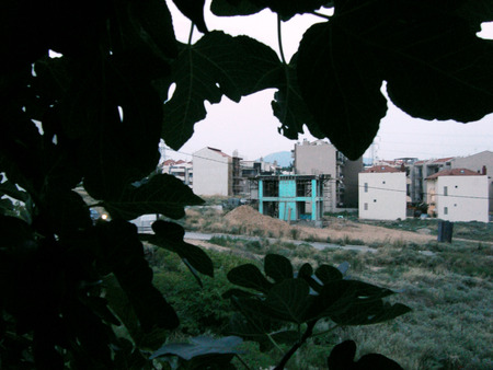 Life Through Leaves - houses, through, leaf, life, leaves, tree