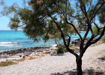 beach - summer, blue, beach, beaches, photography, sunshine, tree, nature, holiday, sun