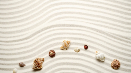 Ripples - shells, beach, sand, wave ripples