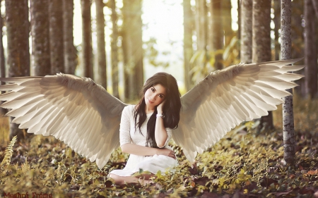 Angel - white, woman, girl, forest, angel, feather, wings, fantasy