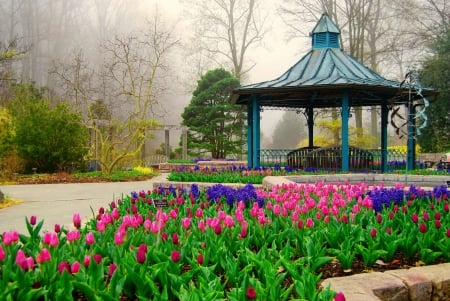 Beautiful garden - pretty, trees, beautiful, beauty, lovely, freshness, walk, rest, flowers, tulips, nature, mist, garden, gazebo, park