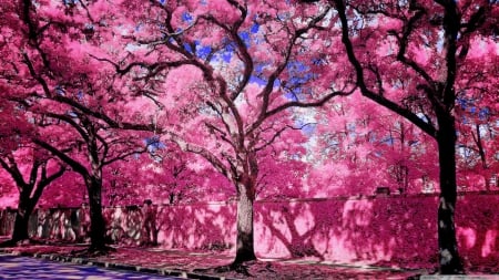 bright one - bright, trees, pink, wall