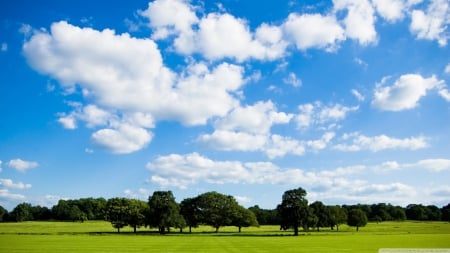 Peaceful meadow - summer, forest, wallpaper, meadow, landscape, hd, sky, clouds, field, tree, scene, nature, park