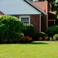 Rosy Summer Home