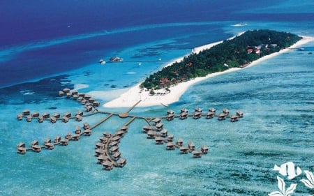 Mauritius hotel - coconut tree, island, sea, hotel