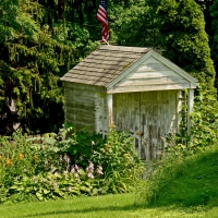 Little Summer Shed