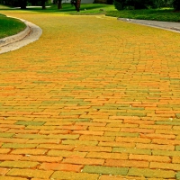 Follow The Yellow Brick Road