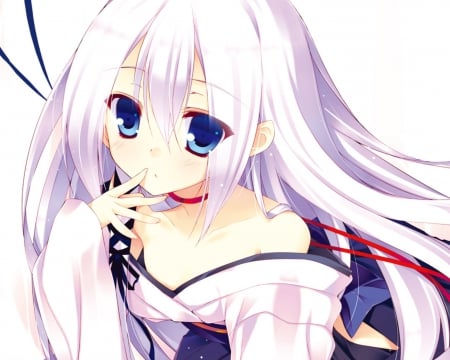 White Miko - beauty, bg, lady, white eyes, girl, warrior, blue eyes, est, miko, colours, seirei tsukai no blade dance, wall, anime, cat theme, new