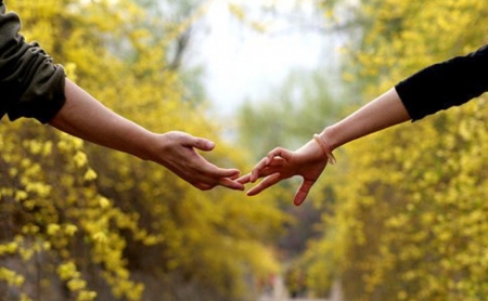 Love - touch, hands, women, morning, sky, trees, day, figers, nature, abstract, man, leaves, arms, shadow