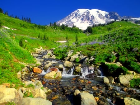 Mount Rainier - summer, mount rainier, beautiful, snowy, falls, slope, grass, lovely, mountain, nature, waterfall, sky