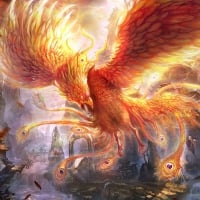 The Phoenix