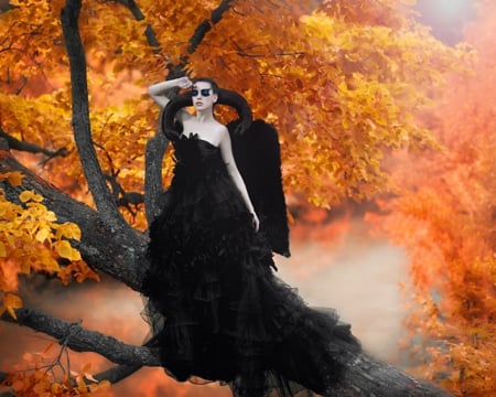 Autumn witch - woman, autumn, black, trees