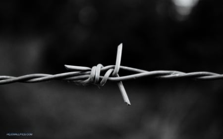 Fencing - wallpaper, abstract, fencing, photography