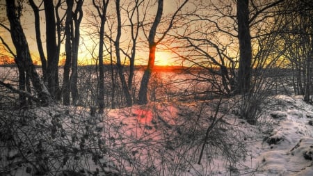 red sunset through trees at winter - trees, red, winter, sunset, mound